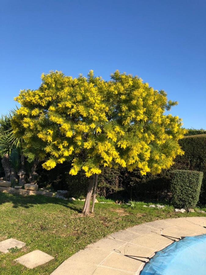 Villa C3 chambre d’hôte piscine proche mer Cagnes-sur-Mer Esterno foto